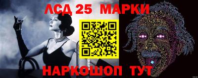 ALPHA PVP Кандалакша
