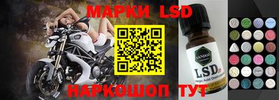 спиды Камышлов