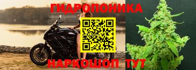 ALPHA PVP Кандалакша