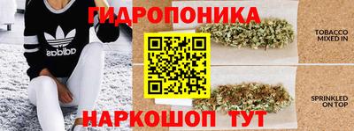 спиды Камышлов