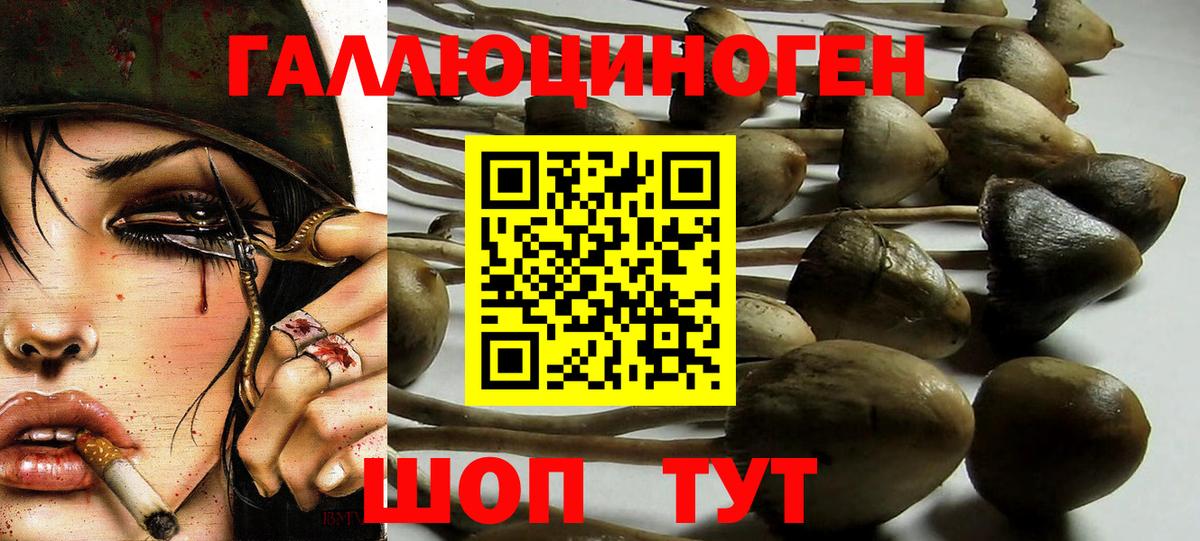 Меф МЯУ МЯУ кристаллы  Кокаин  Вход с VPN  Новомосковск  Каннабис  ГАШИШ 